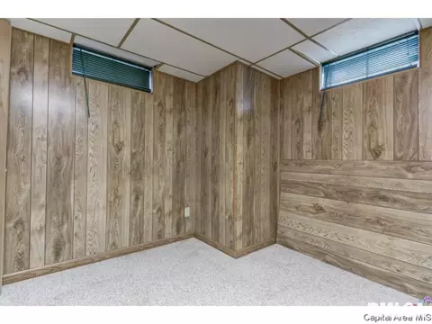 3009 E Griffiths Ave, Springfield, IL 62702 photo 11