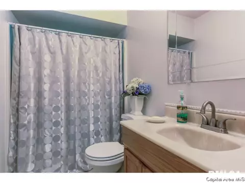 3009 E Griffiths Ave, Springfield, IL 62702 photo 2