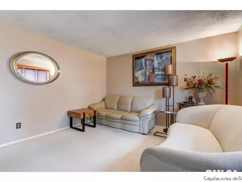 3009 E Griffiths Ave, Springfield, IL 62702 photo 21