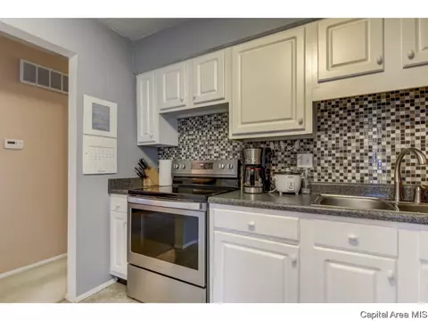 3009 E Griffiths Ave, Springfield, IL 62702 photo 17