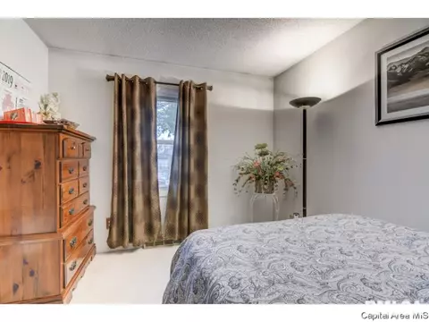 3009 E Griffiths Ave, Springfield, IL 62702 photo 6