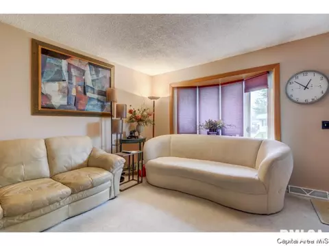 3009 E Griffiths Ave, Springfield, IL 62702 photo 23