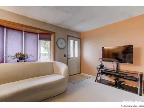3009 E Griffiths Ave, Springfield, IL 62702 photo 24