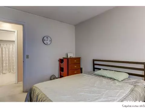 3009 E Griffiths Ave, Springfield, IL 62702 photo 9