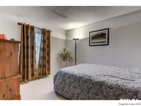 3009 E Griffiths Ave, Springfield, IL 62702 photo 4