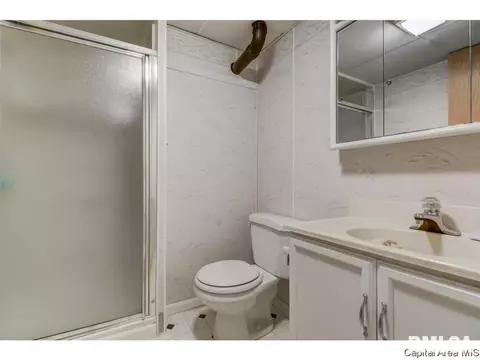 3009 E Griffiths Ave, Springfield, IL 62702 photo 3