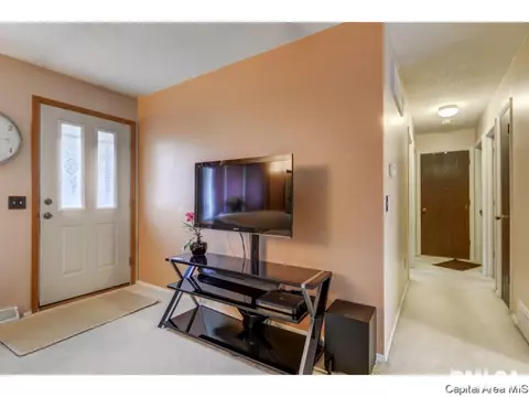 3009 E Griffiths Ave, Springfield, IL 62702 photo 26