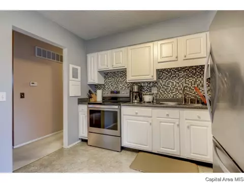 3009 E Griffiths Ave, Springfield, IL 62702 photo 16