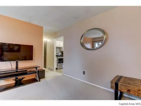 3009 E Griffiths Ave, Springfield, IL 62702 photo 25