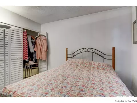 3009 E Griffiths Ave, Springfield, IL 62702 photo 10
