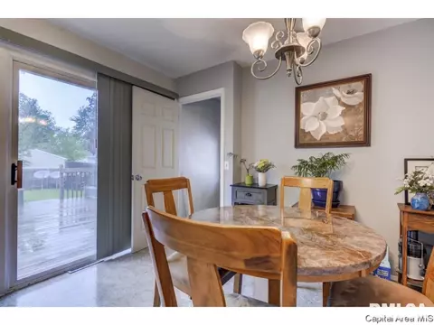 3009 E Griffiths Ave, Springfield, IL 62702 photo 20