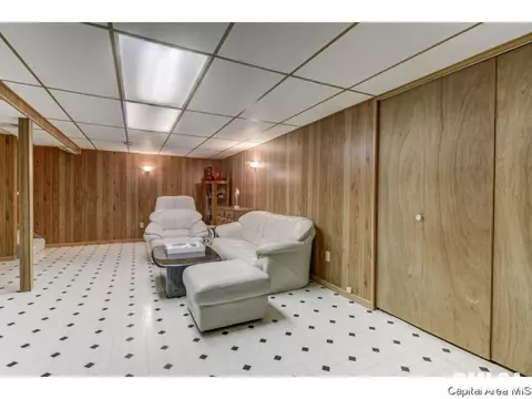3009 E Griffiths Ave, Springfield, IL 62702 photo 12