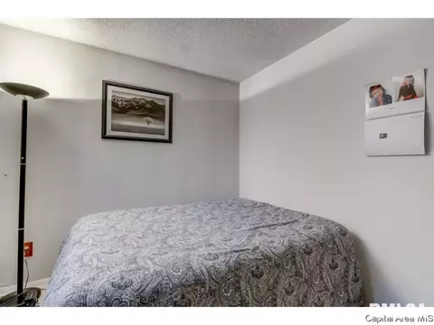 3009 E Griffiths Ave, Springfield, IL 62702 photo 5