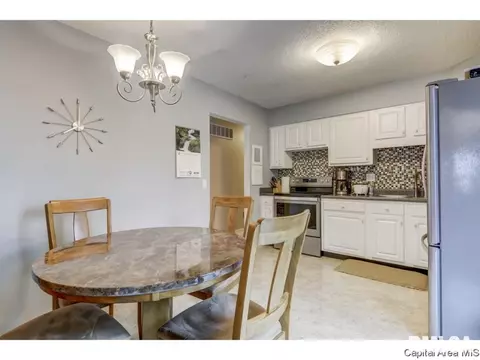 3009 E Griffiths Ave, Springfield, IL 62702 photo 15