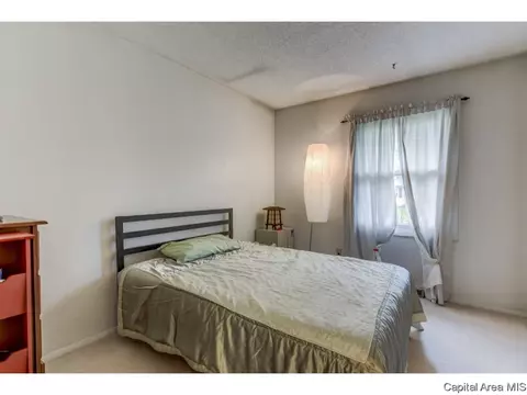 3009 E Griffiths Ave, Springfield, IL 62702 photo 8