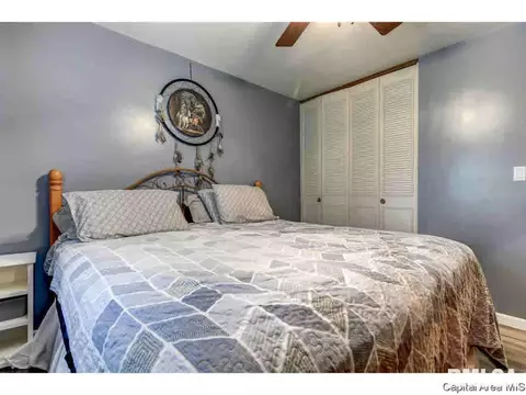 1317 Valley Dr, Springfield, IL 62702 photo 14