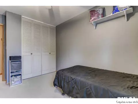 1317 Valley Dr, Springfield, IL 62702 photo 19