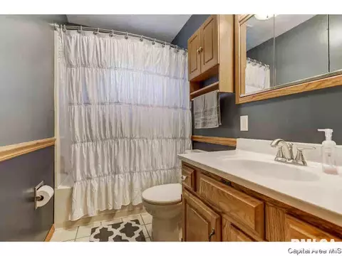 1317 Valley Dr, Springfield, IL 62702 photo 17