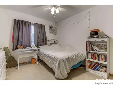 1317 Valley Dr, Springfield, IL 62702 photo 20