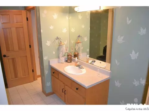2512 Shawnee Dr, Springfield, IL 62702 photo 29