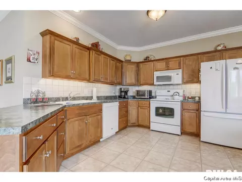 807 Colorado Ct, Springfield, IL 62711 photo 10