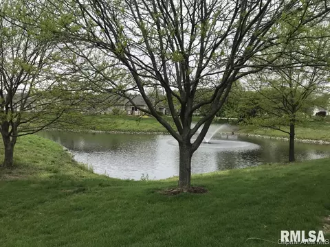 807 Colorado Ct, Springfield, IL 62711 photo 6