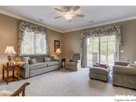 807 Colorado Ct, Springfield, IL 62711 photo 19