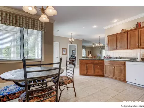 807 Colorado Ct, Springfield, IL 62711 photo 12
