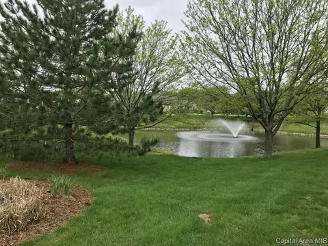 807 Colorado Ct, Springfield, IL 62711 photo 7
