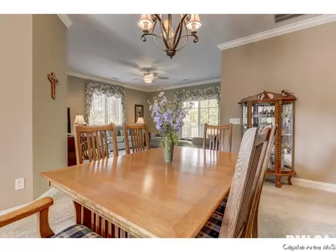 807 Colorado Ct, Springfield, IL 62711 photo 16