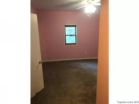 603 N Main St, Abingdon, IL 61410 photo 3