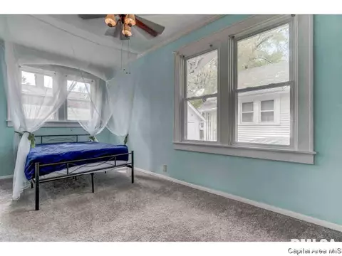 917 S State, Springfield, IL 62704 photo 13