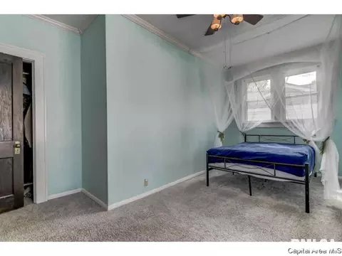 917 S State, Springfield, IL 62704 photo 14