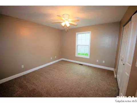 412 E Spruce St, Chatham, IL 62629 photo 13