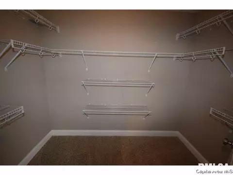 412 E Spruce St, Chatham, IL 62629 photo 16