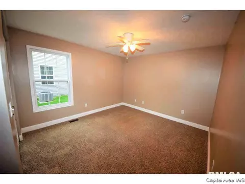 412 E Spruce St, Chatham, IL 62629 photo 12
