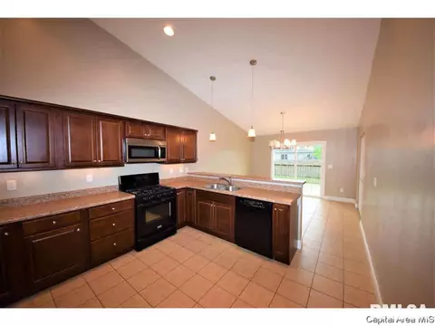 412 E Spruce St, Chatham, IL 62629 photo 6