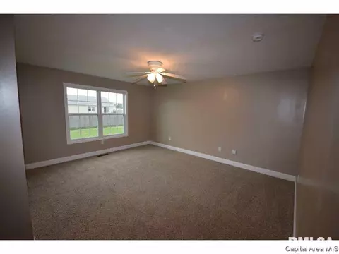 412 E Spruce St, Chatham, IL 62629 photo 14