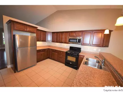 412 E Spruce St, Chatham, IL 62629 photo 9