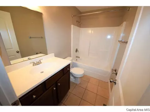 412 E Spruce St, Chatham, IL 62629 photo 10