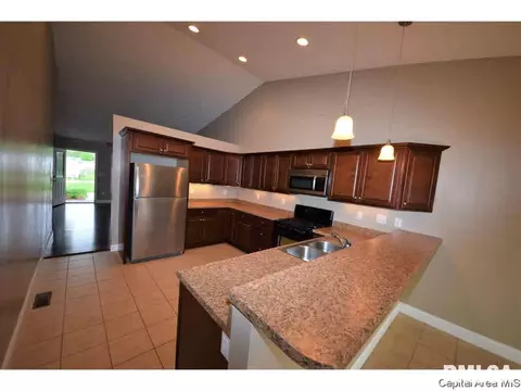 412 E Spruce St, Chatham, IL 62629 photo 8