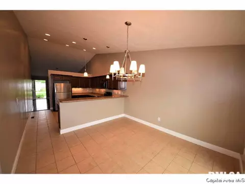 412 E Spruce St, Chatham, IL 62629 photo 7