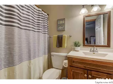 214 Eagle Ridge Dr, Chatham, IL 62629 photo 11