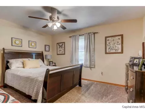 214 Eagle Ridge Dr, Chatham, IL 62629 photo 12