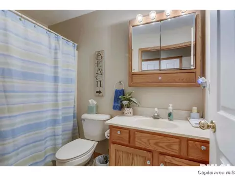 214 Eagle Ridge Dr, Chatham, IL 62629 photo 9