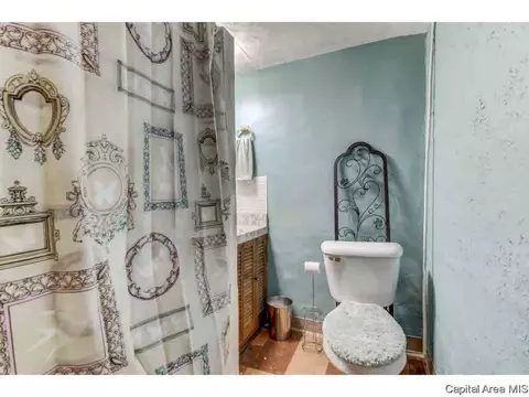 197 Circle, Springfield, IL 62703 photo 27