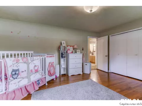 197 Circle, Springfield, IL 62703 photo 16