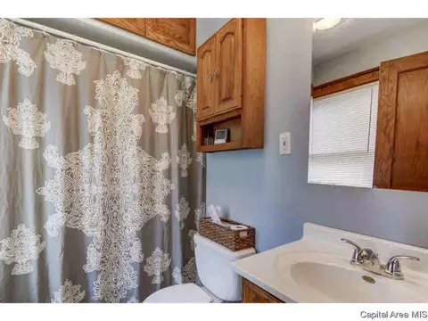 1033 S Walnut, Springfield, IL 62704 photo 11