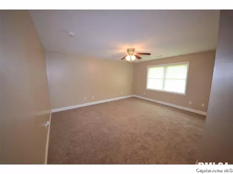 502 E Spruce St, Chatham, IL 62629 photo 9