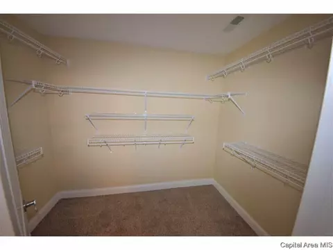 502 E Spruce St, Chatham, IL 62629 photo 11